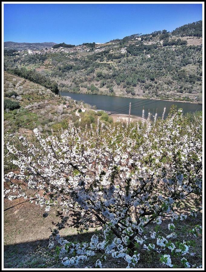 Vila Douro Balcony Resende Exteriér fotografie